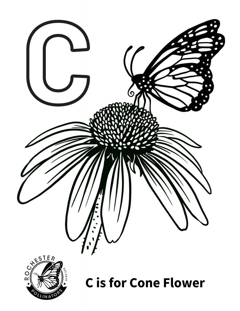 Coloring Book Page 3